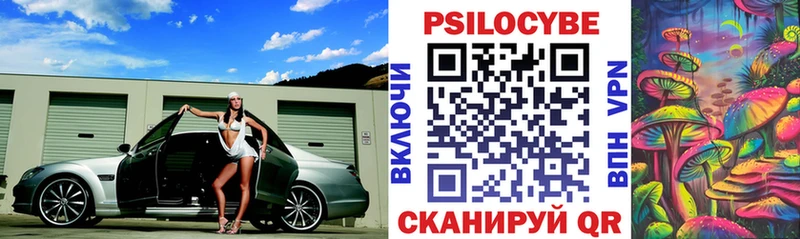 Псилоцибиновые грибы Psilocybe  МЕГА ссылка  Бокситогорск  что такое наркотик 